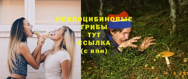 2c-b Балахна